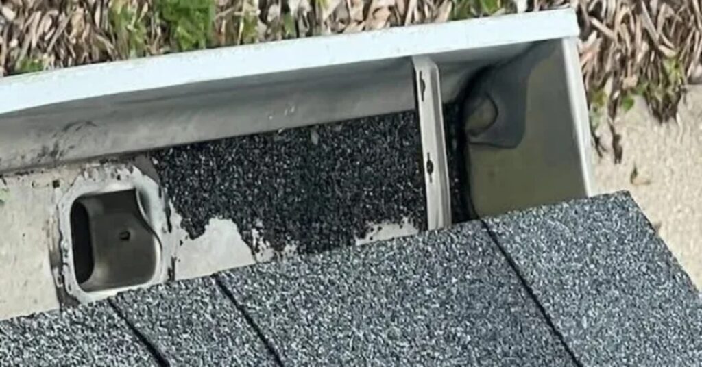 Roof Granules in Gutters